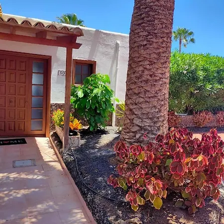 Sabina * San Miguel de Abona